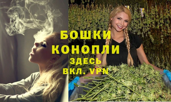 ALPHA PVP Вяземский