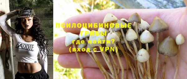соль курить ск Вязьма