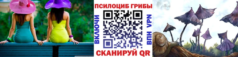 где найти   Малаховка  Псилоцибиновые грибы GOLDEN TEACHER 